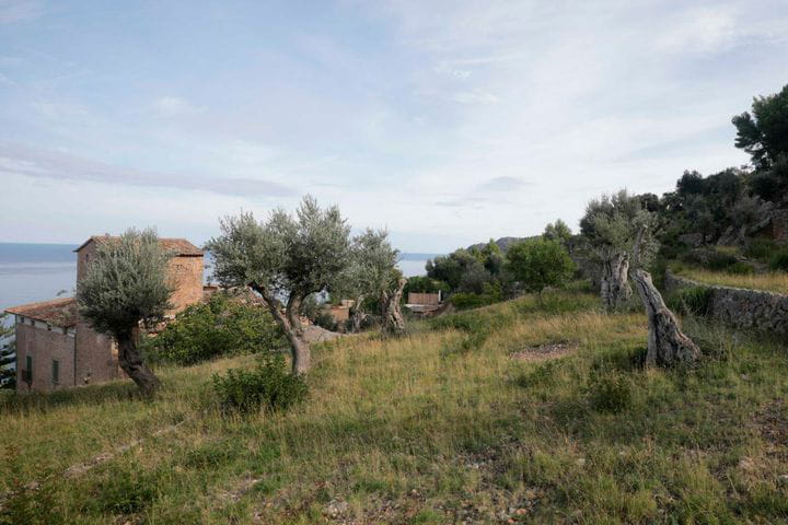 Centro Cultural Junyer-Canals, Mallorca